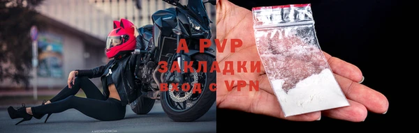 ГАЛЛЮЦИНОГЕННЫЕ ГРИБЫ Ладушкин