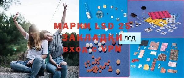 ГАЛЛЮЦИНОГЕННЫЕ ГРИБЫ Ладушкин