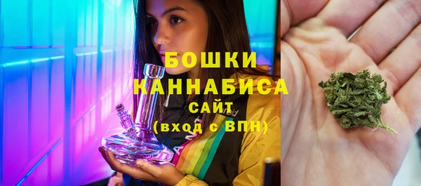 ГАЛЛЮЦИНОГЕННЫЕ ГРИБЫ Ладушкин