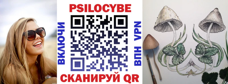 Псилоцибиновые грибы мицелий Назрань