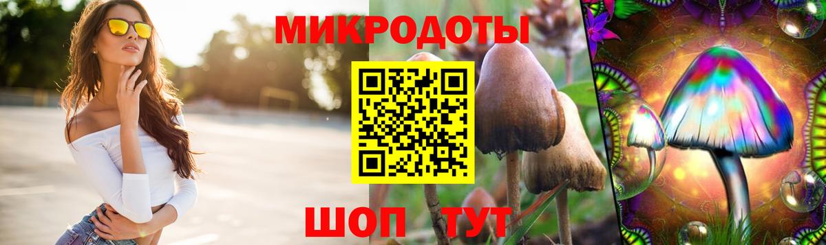 Псилоцибиновые грибы GOLDEN TEACHER  Вход с VPN  наркота  Назрань 